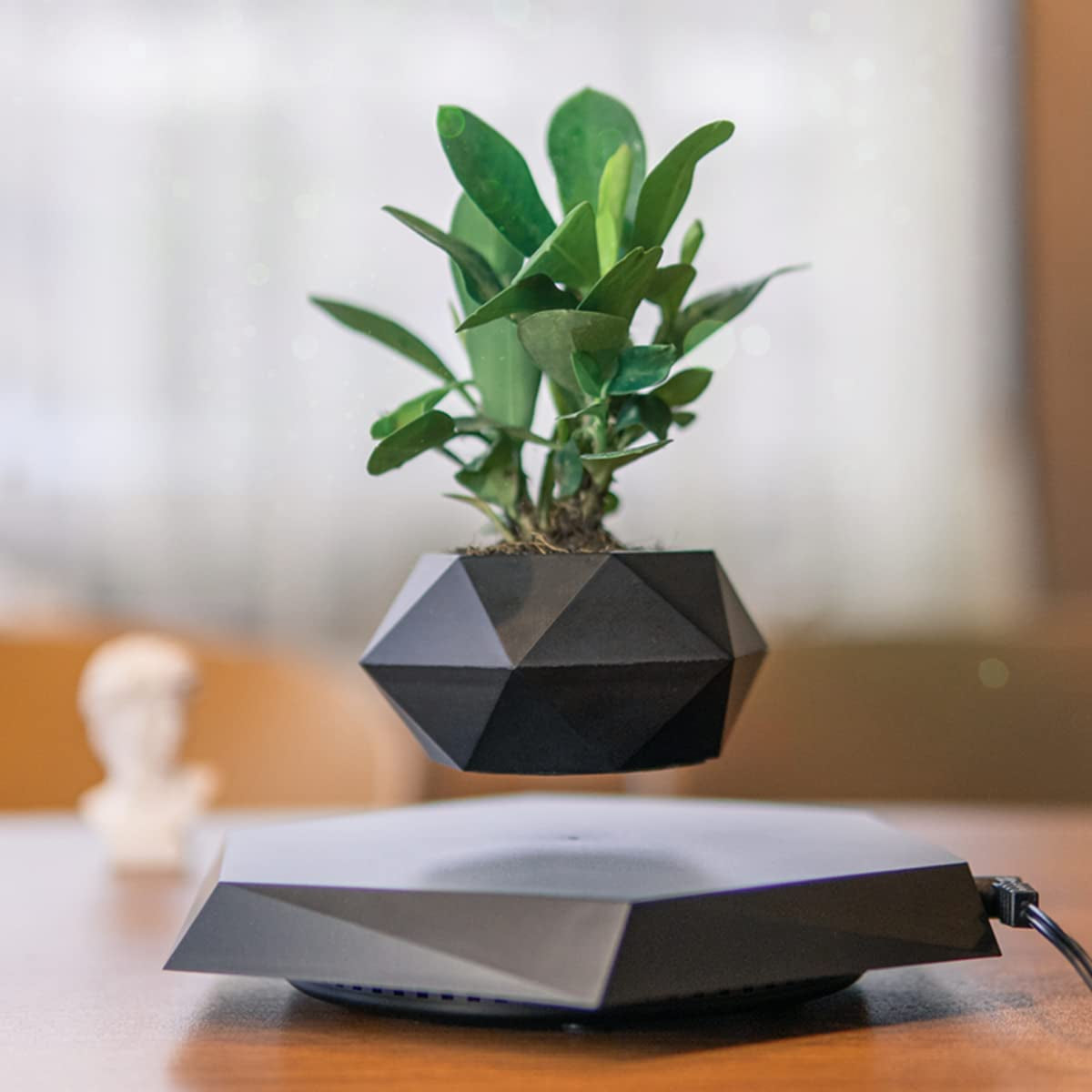 Levitating Plant Pot, Magnetic Levitation Flower Pot Rotating Planters Suspension Floating Plant Succulents Potted for Home Living Room Office Desk Decoration (Black)